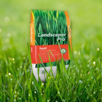 Landscaper Pro Fűmag Rapid 5 kg