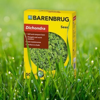  Barenbrug Fűmag Dichondra 0,5kg                    