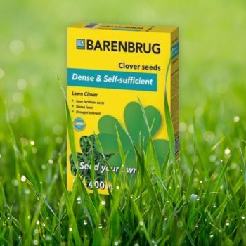 Fűmag Barenburg Mikrohere 0,5 kg          