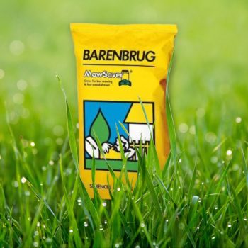  Barenbrug Fűmag Mow Saver 15kg               