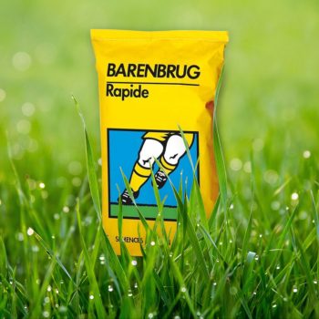 Fűmag Barenbrug Rapide 15kg                 