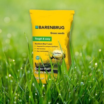 Fűmag Barenbrug Resilient Blue Lawn 15kg     