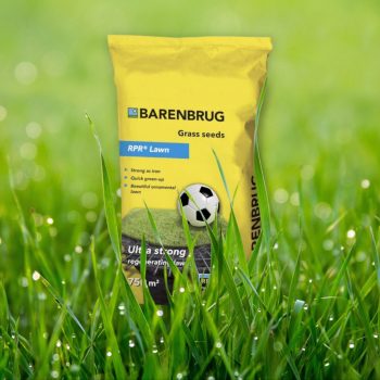 Fűmag Barenbrug RPR Lawn 15kg