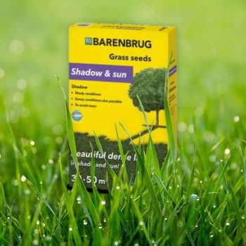 Fűmag Barenbrug Shadow 1kg             