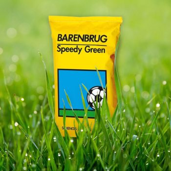 Fűmag Barenbrug Speedy Green 15kg      