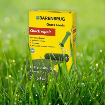  Barenbrug Fűmag SOS 1 kg        