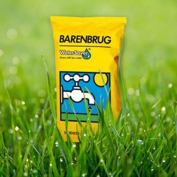 Fűmag Barenbrug Water Saver 15kg     